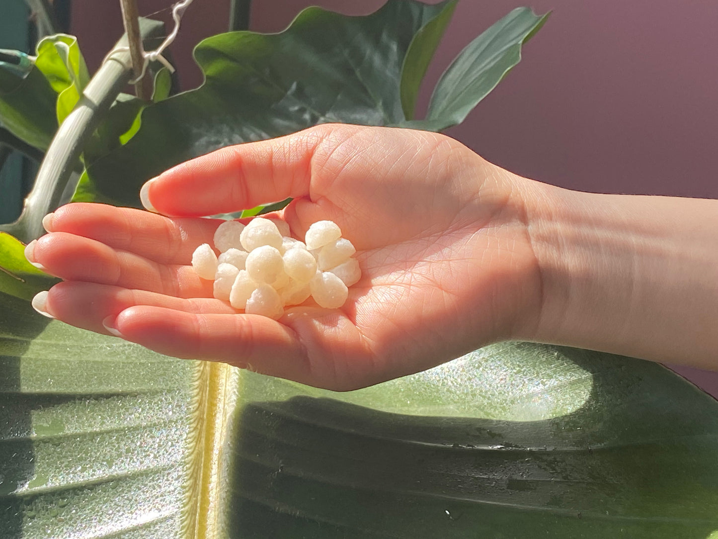 Extra Strength Soap Drops